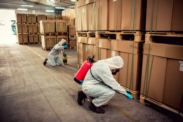 Best Affordable Pest Control Services  in Iona, ID
