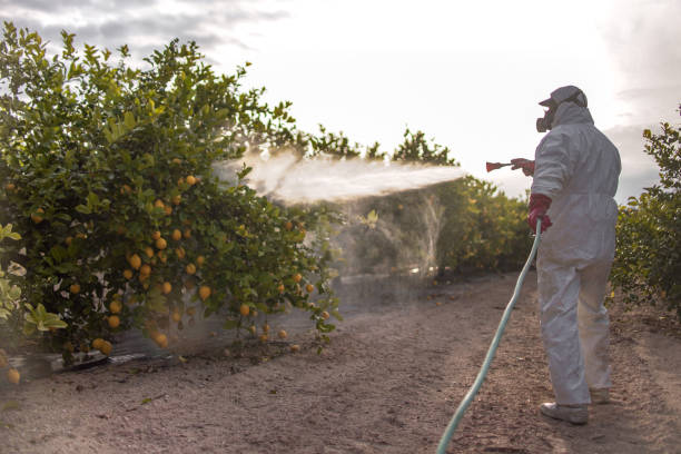 Iona, ID Pest Control Company
