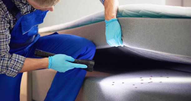 Best Bed Bug Extermination  in Iona, ID