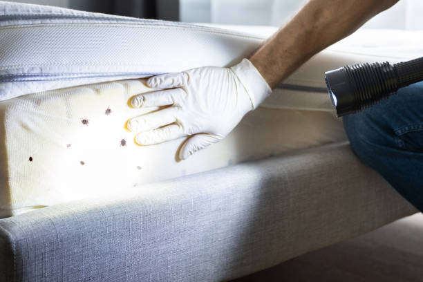 Best Best Pest Control Companies  in Iona, ID